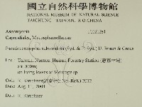 館號:F0021284藏品圖，第2張