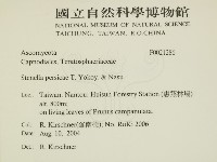 登錄號:F0021286藏品圖，第2張