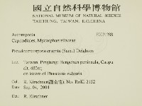 登錄號:F0021288藏品圖，第2張