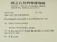 登錄號:F0021289藏品圖，第2張
