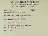 登錄號:F0021290藏品圖，第2張