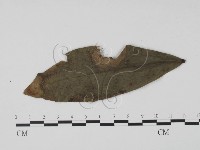 登錄號:F0021290藏品圖，第1張