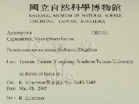 登錄號:F0021291藏品圖，第2張