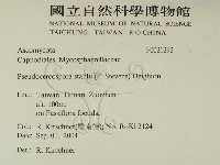 登錄號:F0021292藏品圖，第2張