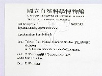登錄號:F0021295藏品圖，第2張