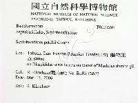 登錄號:F0021296藏品圖，第2張