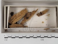 登錄號:F0021298藏品圖，第1張