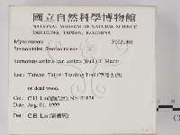 登錄號:F0021301藏品圖，第2張