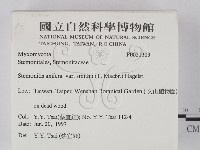 登錄號:F0021303藏品圖，第2張