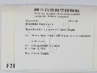 登錄號:F0021306藏品圖，第2張