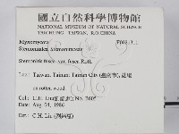 登錄號:F0021311藏品圖，第2張