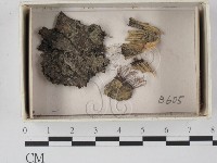 登錄號:F0021311藏品圖，第1張