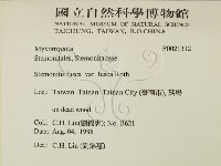 登錄號:F0021312藏品圖，第2張