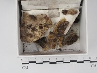 登錄號:F0021313藏品圖，第1張