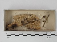 登錄號:F0021314藏品圖，第1張
