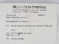 登錄號:F0021315藏品圖，第2張