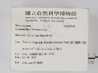 登錄號:F0021316藏品圖，第2張