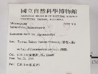 館號:F0021318藏品圖，第2張