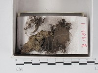 登錄號:F0021319藏品圖，第1張