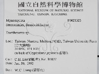 登錄號:F0021323藏品圖，第2張