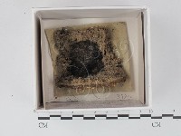 登錄號:F0021324藏品圖，第1張
