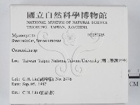 館號:F0021325藏品圖，第2張