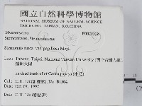 登錄號:F0021328藏品圖，第2張