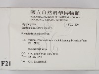 登錄號:F0021329藏品圖，第2張