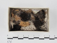 登錄號:F0021329藏品圖，第1張