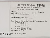 登錄號:F0021330藏品圖，第2張