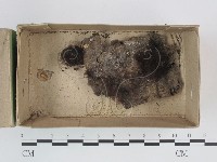 登錄號:F0021330藏品圖，第1張