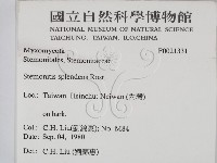 館號:F0021331藏品圖，第2張