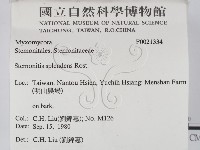 登錄號:F0021334藏品圖，第2張