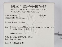登錄號:F0021335藏品圖，第2張