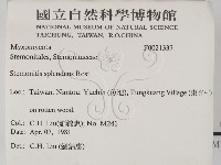 登錄號:F0021337藏品圖，第2張