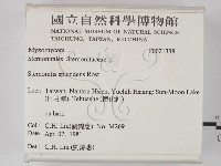 登錄號:F0021338藏品圖，第2張