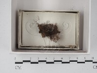 登錄號:F0021340藏品圖，第1張