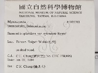 登錄號:F0021341藏品圖，第2張