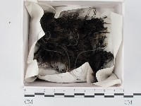 登錄號:F0021341藏品圖，第1張