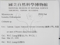 登錄號:F0021344藏品圖，第2張