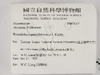 登錄號:F0021345藏品圖，第2張