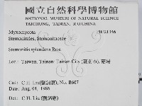 登錄號:F0021346藏品圖，第2張