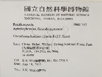 登錄號:F0021347藏品圖，第2張