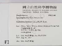 登錄號:F0021348藏品圖，第2張