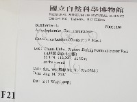 登錄號:F0021350藏品圖，第2張