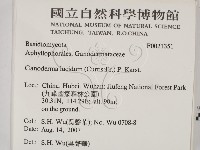 登錄號:F0021351藏品圖，第2張