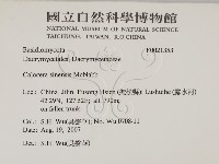 登錄號:F0021353藏品圖，第2張