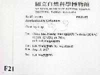 登錄號:F0021355藏品圖，第2張