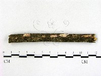 登錄號:F0021355藏品圖，第1張