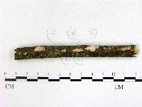 登錄號:F0021355藏品圖，第3張